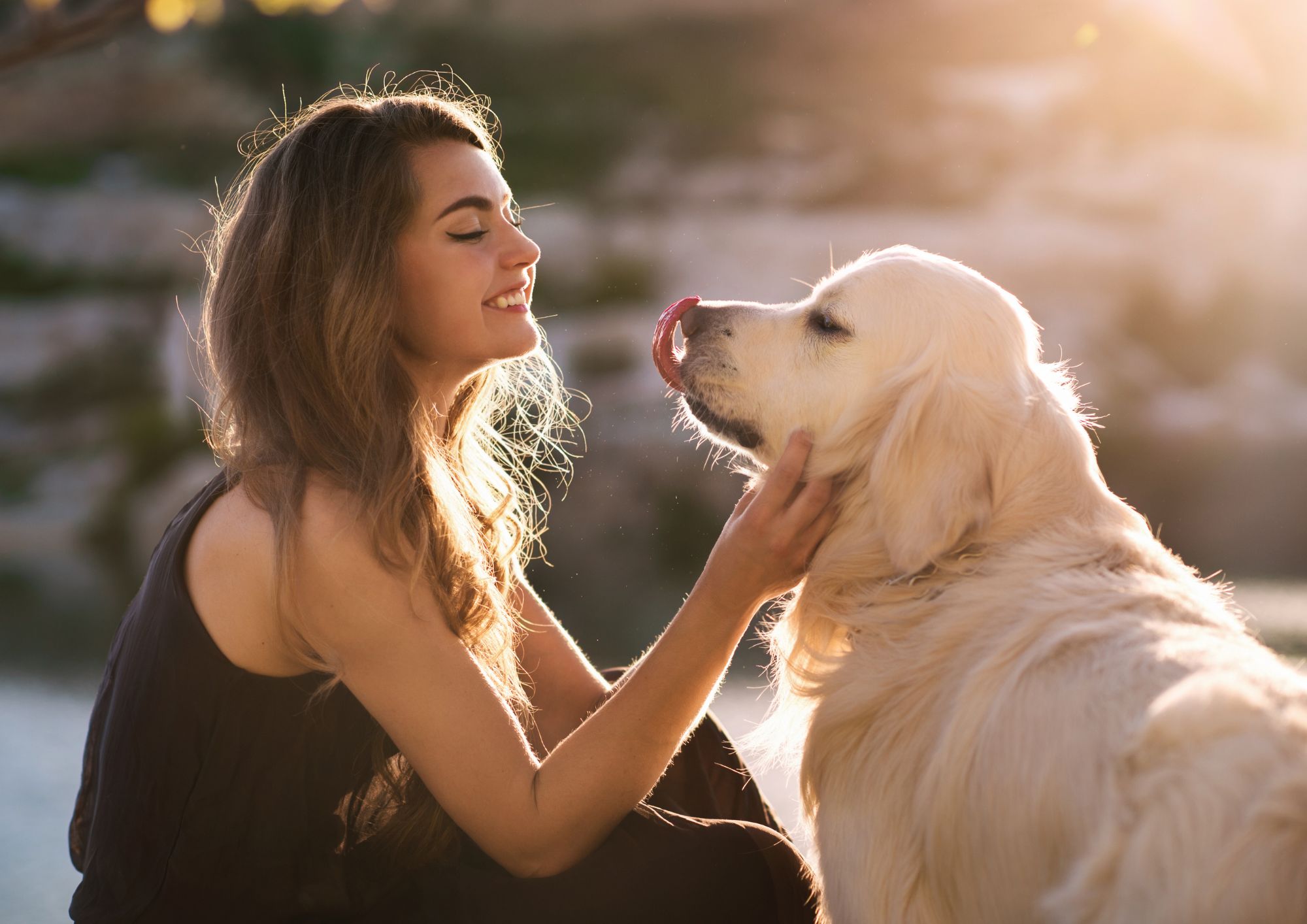 Assurance animaux : pourquoi les tarifs s'envolent en France